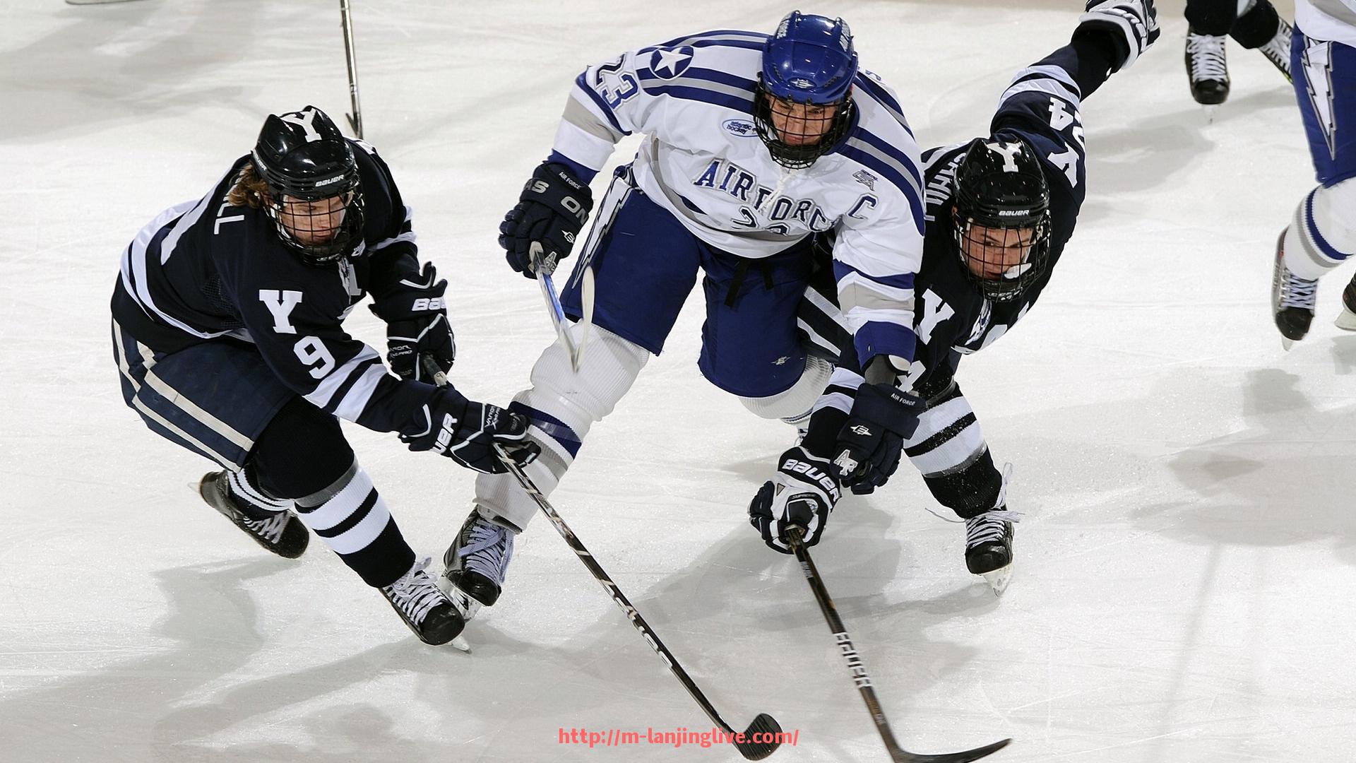 蓝鲸体育直播-健身器材锻炼动作的基本原理分析